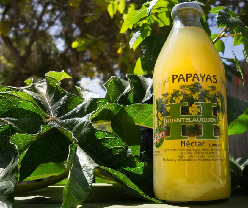 Néctar de Papaya 1000 cc Light